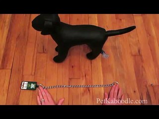 How To: Put On & Use A Choke Chain Dog Training Choker Collar