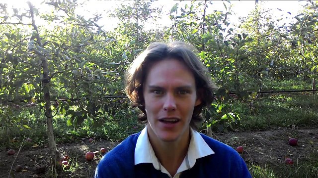 Patreon Intro - Study Music, Sleep Music, Relaxing Music, BiNaural Beats