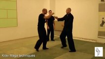 Self-defense martial art Wing Chun - Simple self-defense martial arts effectively