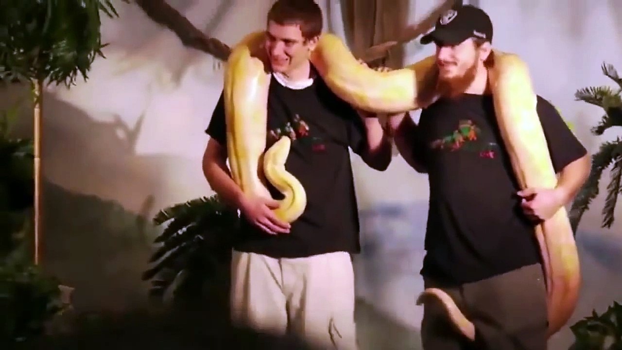 Парни и их приколы в школе на уроках, парни танцуют и острят. Пацаны ваще ребята!