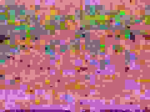 Dream Logo Combos: Children's Television Workshop / Columbia Pictures Television