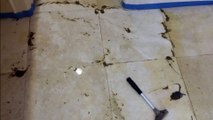 Travertine Tile Cleaning Maintenance Maitland FL (407) 279-3739