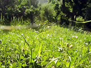 Beautiful Pakistan : LAS Rakaposhi Trip by Umair Kazi