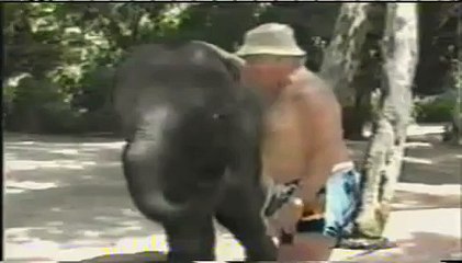 AFV - old people are stupid