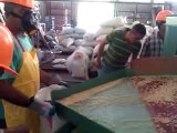VIDEO 2. Planta de Proceso de Semillas Jocotán, Chiquimula FAO-MAGA