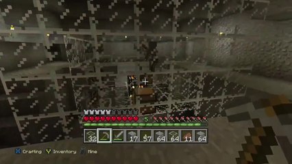 MINECRAFT: Welcome to the Zoo