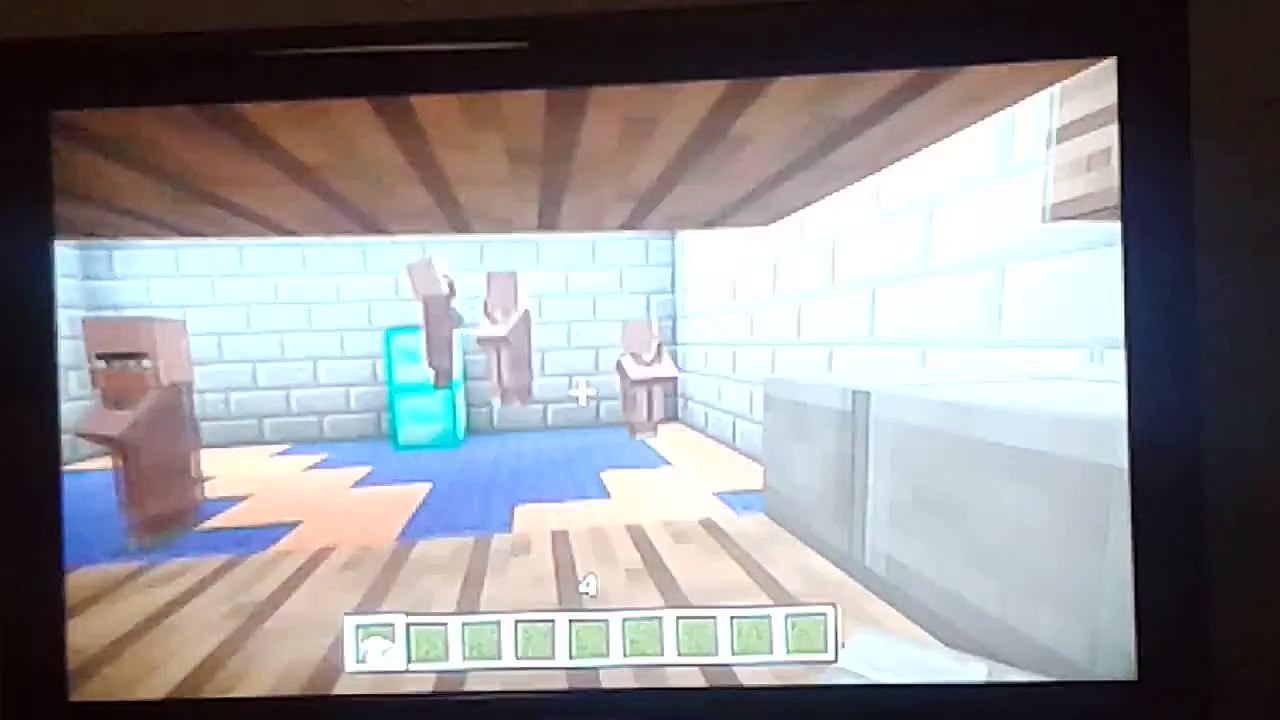 Minecraft zoo