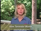 Termites - The best way to get rid of termites part I