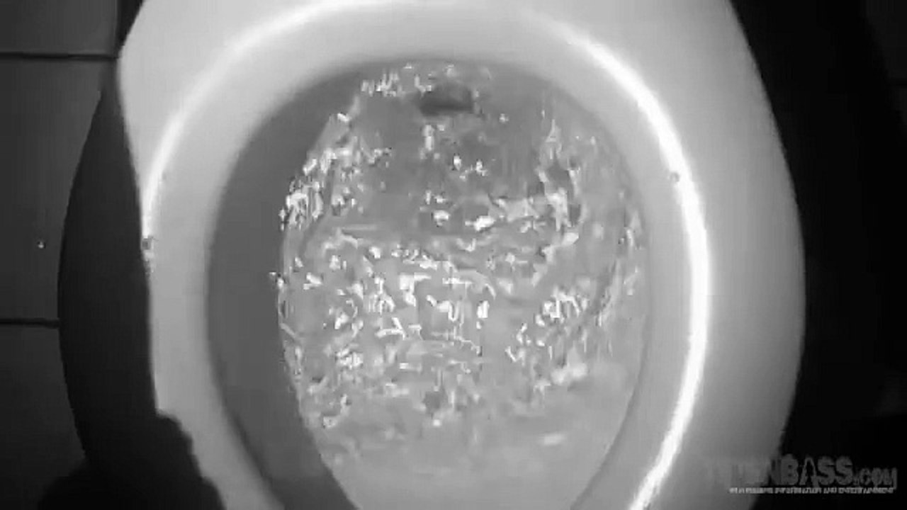 Toilet Fishing TipsNBass.com