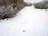 Snow Leopard Trekking in India