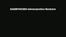 GIGANTISCHES lebensgroßes Nashorn