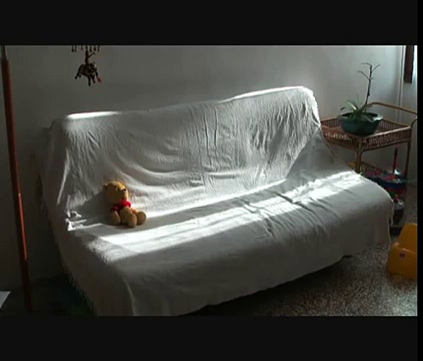 Does my dog go to the sofa when we aren't at home?