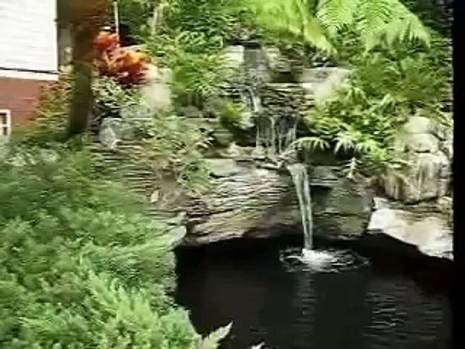 錦鯉池欣賞 中部資深愛好家李前輩