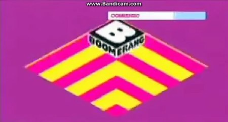 Club Boomerang Bumper 1