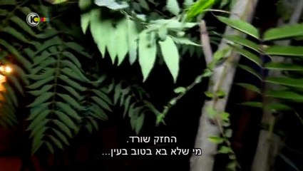Panim.Amitiyot.S09E10.WS.PDTV.XviD-Etamar