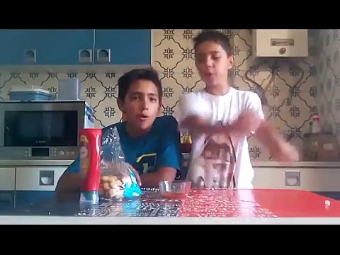 DESAFIO DA LINGUA DE GATO COM KETCHUP!?