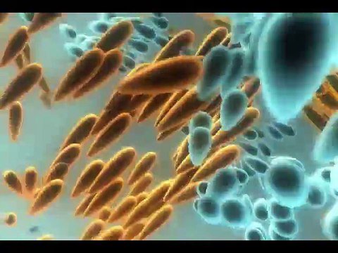 Retro Electronic Music - Dreams of Bebe - Pim Zond