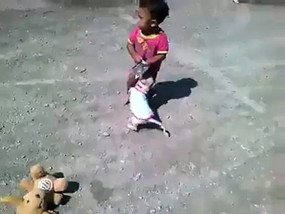 dog vs baby