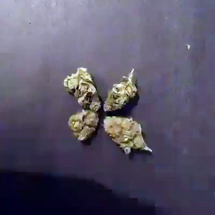 dont smoke