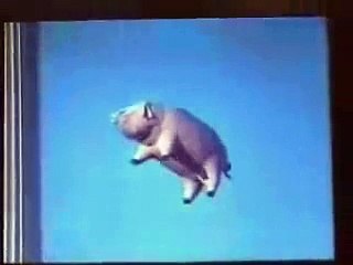 Pink Floyd- Pigs On The Wing (Part 1 and 2) Video