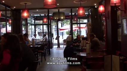 The Passionate Painter in Paris DVD with Alvaro Castagnet