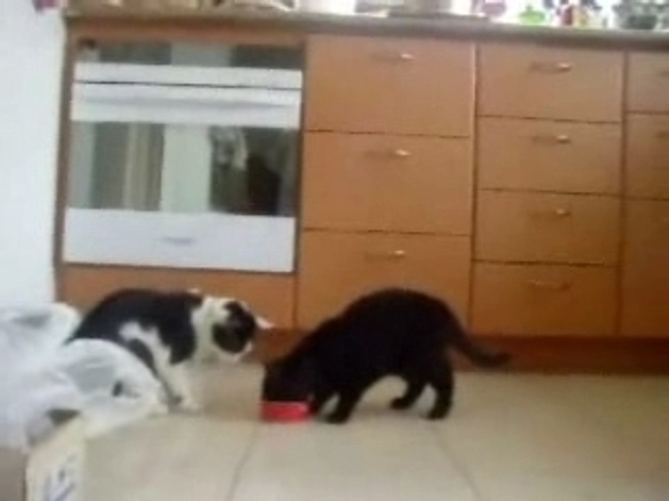 Passmoisa