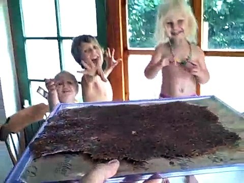 Raw Food Recipes For Kids - Pizza (Raw Vegan & DELICIOUS!)