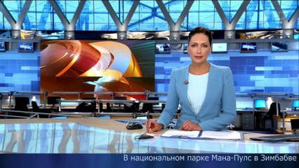 На туристов напал слон
