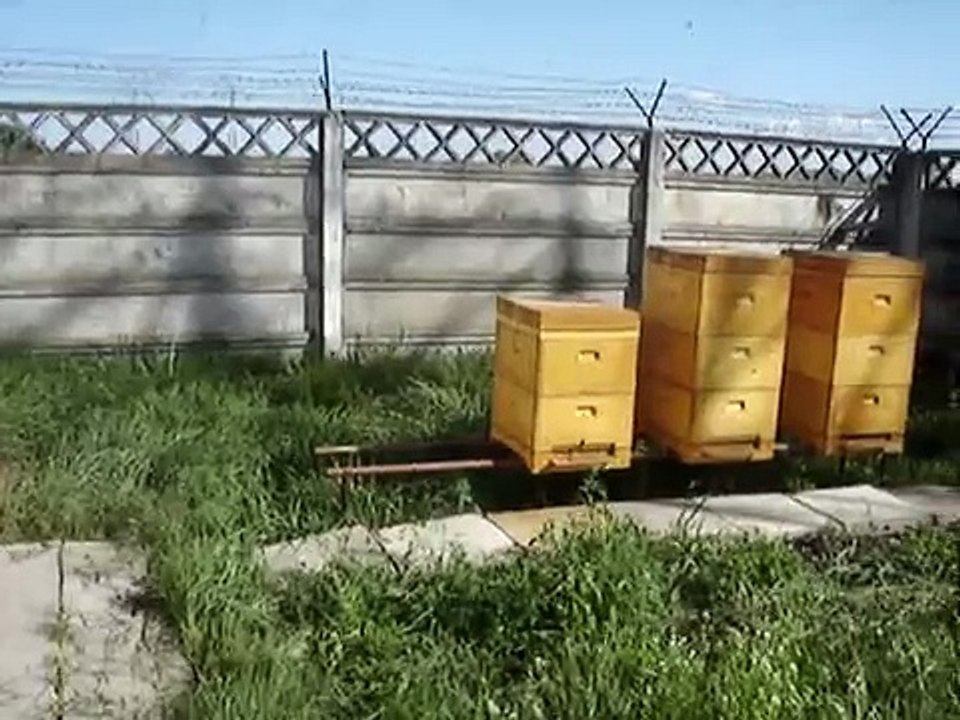 Polyurethane beehives - Farostup V10