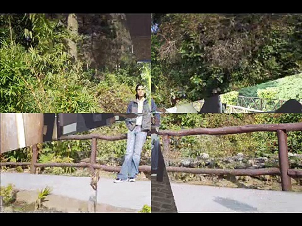 a trip to jim corbett national park