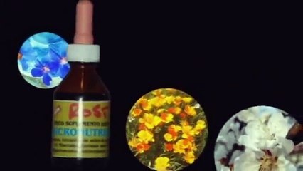 Las Esencias de Rost. Omar Rost. www.esenciasrost.com
