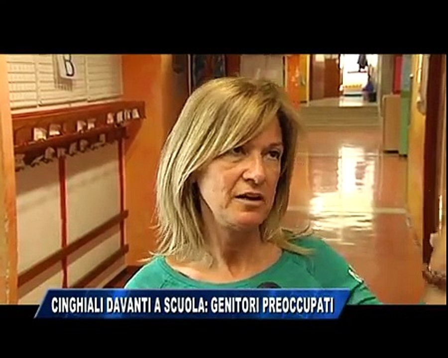 12/06/2015 - CINGHIALI DAVANTI A SCUOLA: GENITORI PREOCCUPATI