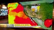 Climate Chaos Climatologist warns of a Godzilla El Nino affecting Global Weather Aug 17, 2015