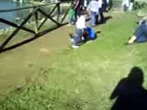 Salvataggio di 2 pulcini. I bambini istintivamente vogliono prendersi cura di tutti gli animali