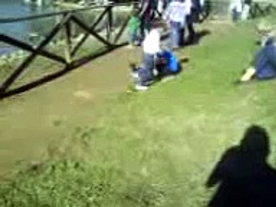 Salvataggio di 2 pulcini. I bambini istintivamente vogliono prendersi cura di tutti gli animali