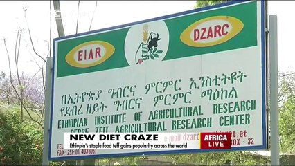 Ethiopia's Staple Food Teff Gains Popularity Across the World