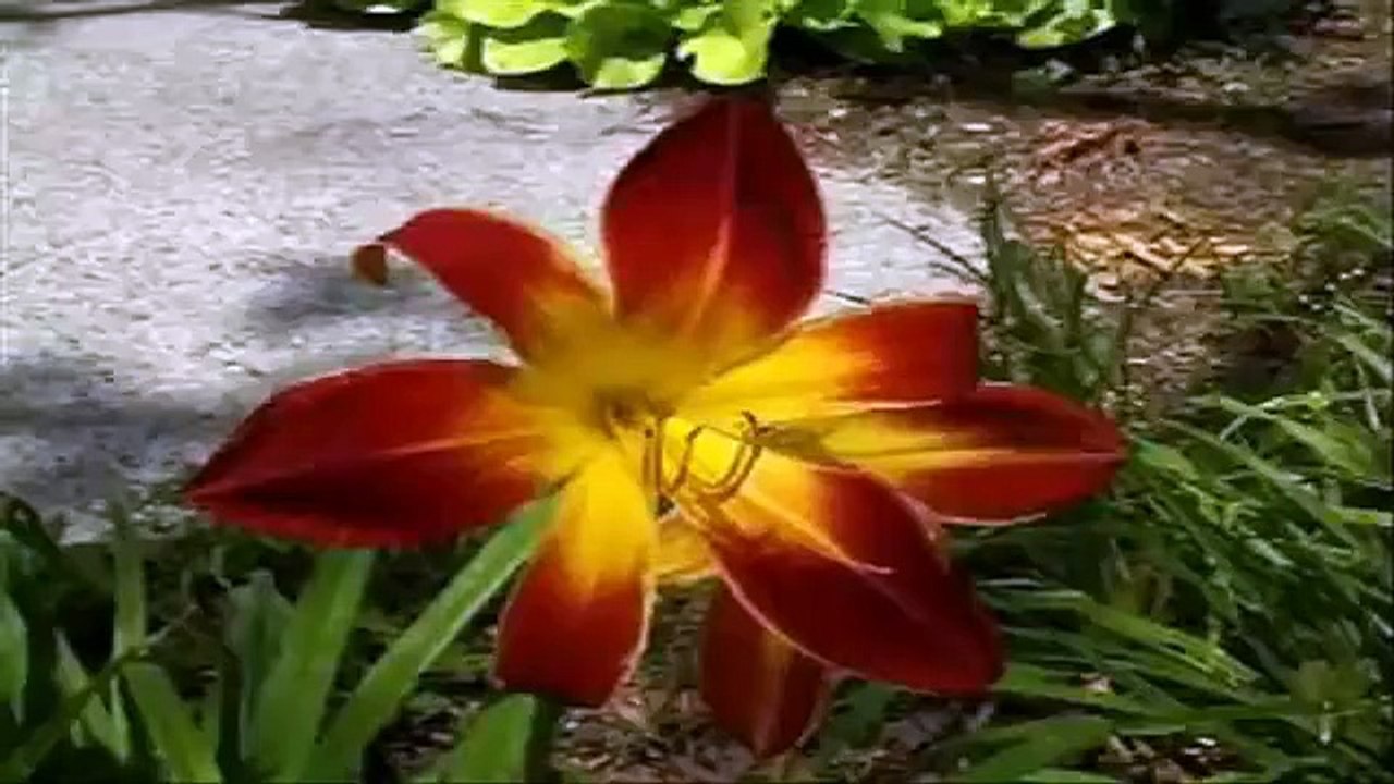 Trance:  The Hubble Deep Field Remix