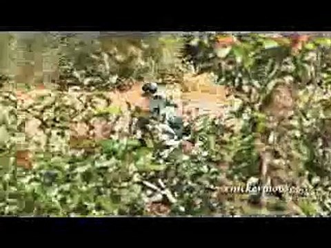 Honda CBR 600rr Lowside Motorcycle Crash