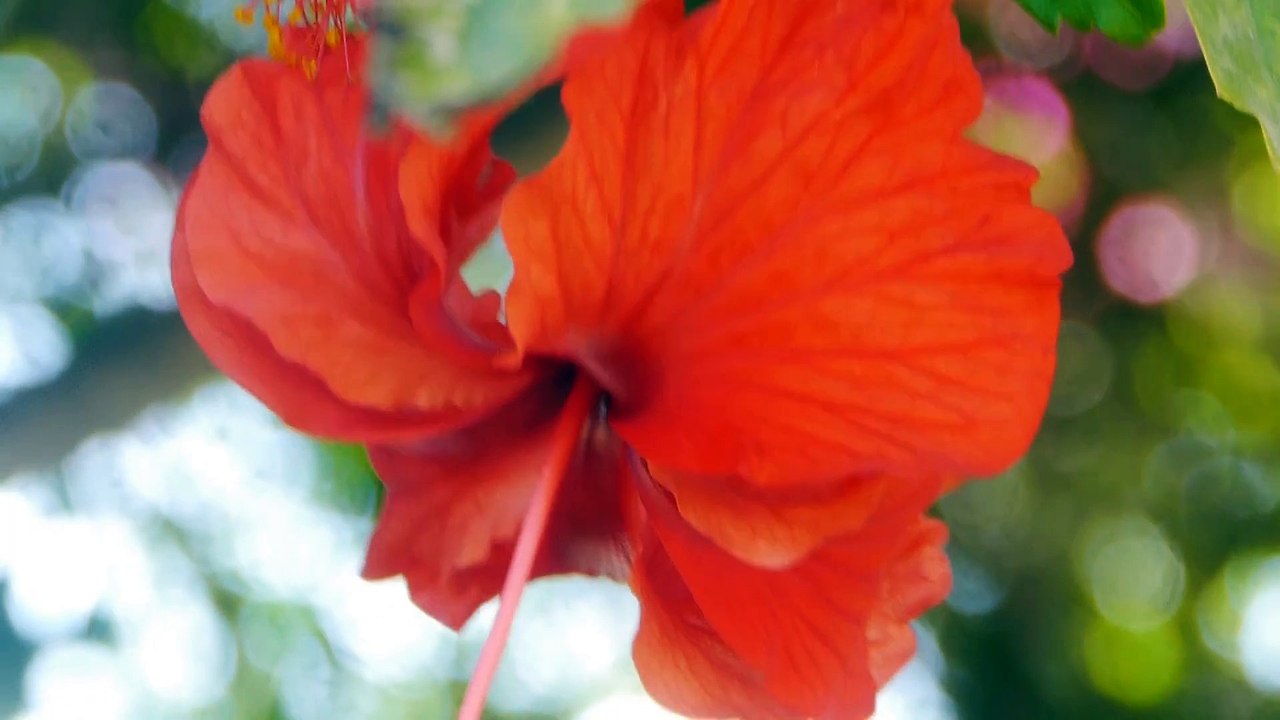 Die Küste der Traumstrände Salalah - Karibik des Orients,Urlaub in Salalah - Oman (5)