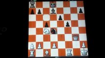 shredder versus mac chess computer | Chess games computer | chess games computer