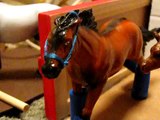 Daybreak Stables Horse Tour: Part 1: 1991-2001 Horses