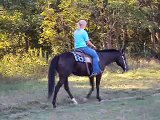 2003 AQHA Mare For Sale