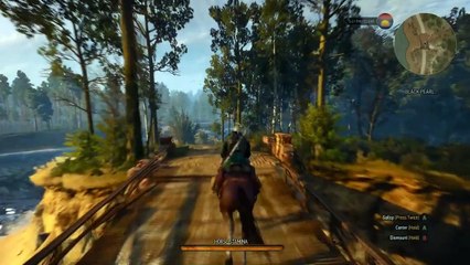 The Witcher 3 - Wild Hunt — Bryonia Location