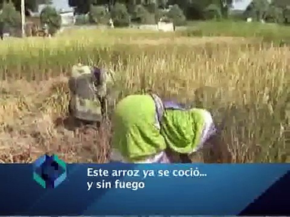 Mikorte Informativo Cap 14 Bloque 4