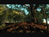 Relax with new HD Crysis maps - better graphic than original