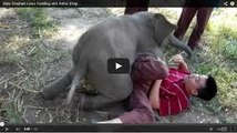 Baby Elephant Loves Cuddling and wants to paly - awesome video must watch