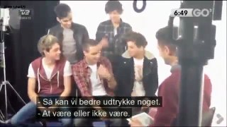 One Direction interview denmark