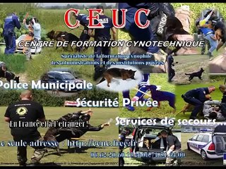 Brigade cynophile Police - CEUC