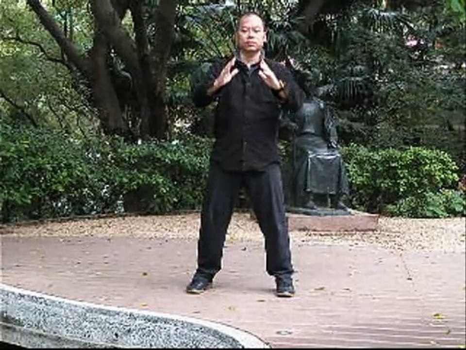 Tai Chi Zen Everywhere: Ziboce Healing Qi Gong for Diabetes