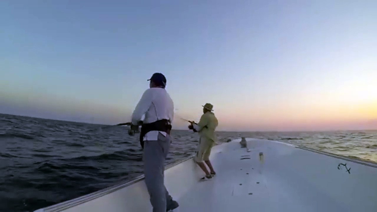 Balıkçı neye uğradığını şaşırdı!!! Muhteşem balık avı!!!